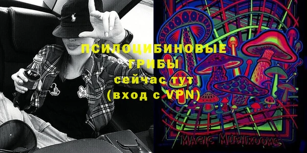 гидра Алексин