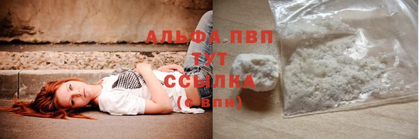 гидра Алексин