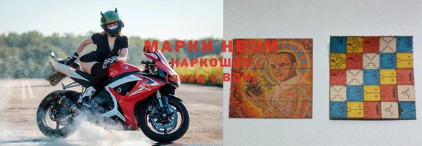 гидра Алексин