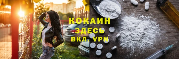 гидра Алексин