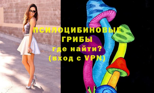 прущие крисы Алзамай