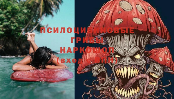 гидра Алексин