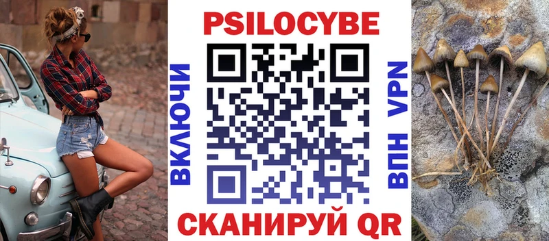 Галлюциногенные грибы прущие грибы  kraken ССЫЛКА  Топки  купить наркоту 